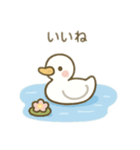可愛い動物達の公園ピクニック（個別スタンプ：18）