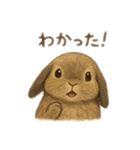 マイロさんのお顔（個別スタンプ：1）