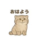 ふわふわマヌルの日常スタンプ2（個別スタンプ：2）