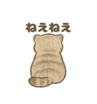 ふわふわマヌルの日常スタンプ2（個別スタンプ：7）