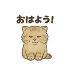 ふわふわマヌルの日常スタンプ2（個別スタンプ：11）