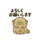 ふわふわマヌルの日常スタンプ2（個別スタンプ：13）