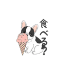 フレンチブルドッグ（パイド、白黒）（個別スタンプ：4）