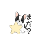 フレンチブルドッグ（パイド、白黒）（個別スタンプ：6）