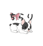 フレンチブルドッグ（パイド、白黒）（個別スタンプ：8）