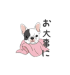 フレンチブルドッグ（パイド、白黒）（個別スタンプ：9）