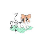 フレンチブルドッグ（パイド、白黒）（個別スタンプ：12）