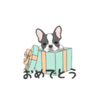 フレンチブルドッグ（パイド、白黒）（個別スタンプ：16）