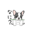 フレンチブルドッグ（パイド、白黒）（個別スタンプ：17）