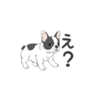 フレンチブルドッグ（パイド、白黒）（個別スタンプ：24）