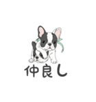 フレンチブルドッグ（パイド、白黒）（個別スタンプ：31）