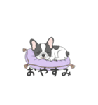 フレンチブルドッグ（パイド、白黒）（個別スタンプ：34）