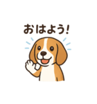 可愛すぎビーグル❤️（個別スタンプ：1）