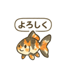 おしゃべり金魚の可愛いスタンプ（個別スタンプ：8）