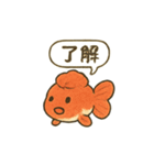 おしゃべり金魚の可愛いスタンプ（個別スタンプ：12）