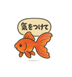 おしゃべり金魚の可愛いスタンプ（個別スタンプ：30）