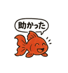 おしゃべり金魚の可愛いスタンプ（個別スタンプ：37）