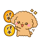 トイプードル♡デカ文字リアクション（個別スタンプ：2）