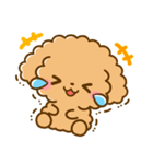 トイプードル♡デカ文字リアクション（個別スタンプ：13）