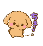 トイプードル♡デカ文字リアクション（個別スタンプ：27）