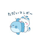 しーたんのほんわか♡ダジャレスタンプ（個別スタンプ：13）