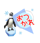 アニマルたちの真夏のスタンプ♪（個別スタンプ：1）