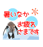 アニマルたちの真夏のスタンプ♪（個別スタンプ：2）