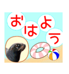 アニマルたちの真夏のスタンプ♪（個別スタンプ：3）
