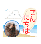 アニマルたちの真夏のスタンプ♪（個別スタンプ：5）