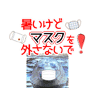 アニマルたちの真夏のスタンプ♪（個別スタンプ：14）