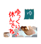 アニマルたちの真夏のスタンプ♪（個別スタンプ：20）