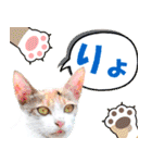 アニマルたちの真夏のスタンプ♪（個別スタンプ：21）