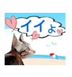 アニマルたちの真夏のスタンプ♪（個別スタンプ：24）