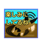 【毛糸編1】茶色の柴犬（口元が黒い）（個別スタンプ：25）