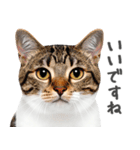 ネガティブな猫たちの一言（個別スタンプ：6）