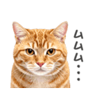 ネガティブな猫たちの一言（個別スタンプ：17）