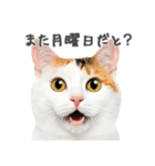 ネガティブな猫たちの一言（個別スタンプ：18）