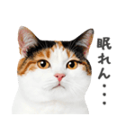 ネガティブな猫たちの一言（個別スタンプ：32）