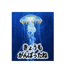 背景に海が広がる✨海の世界2--癒し・労い--（個別スタンプ：2）