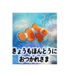 背景に海が広がる✨海の世界2--癒し・労い--（個別スタンプ：3）