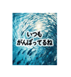 背景に海が広がる✨海の世界2--癒し・労い--（個別スタンプ：6）