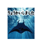 背景に海が広がる✨海の世界2--癒し・労い--（個別スタンプ：13）