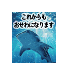 背景に海が広がる✨海の世界2--癒し・労い--（個別スタンプ：16）
