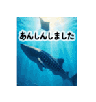 背景に海が広がる✨海の世界2--癒し・労い--（個別スタンプ：22）