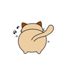 Maru＆Pyon3（個別スタンプ：15）