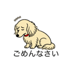 名前入りダックスロングクリーム（個別スタンプ：2）