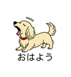名前入りダックスロングクリーム（個別スタンプ：3）