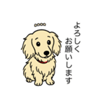 名前入りダックスロングクリーム（個別スタンプ：4）