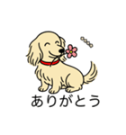 名前入りダックスロングクリーム（個別スタンプ：5）