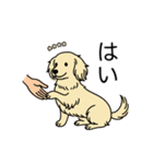 名前入りダックスロングクリーム（個別スタンプ：6）